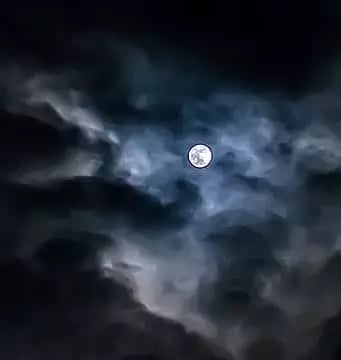 Midnight Designer Series Inspiration - Full Moon - Garage Living