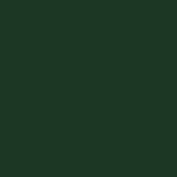 Aluminum Capping - Forest color